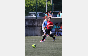6849506730fcb_IMG6359.JPG